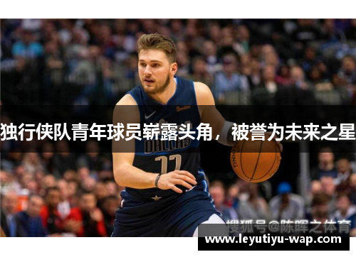独行侠队青年球员崭露头角，被誉为未来之星