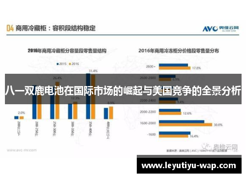 八一双鹿电池在国际市场的崛起与美国竞争的全景分析