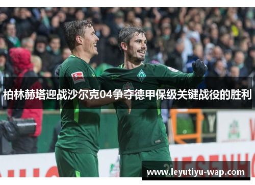 柏林赫塔迎战沙尔克04争夺德甲保级关键战役的胜利