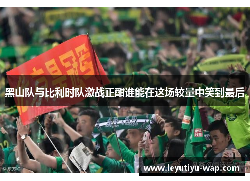 黑山队与比利时队激战正酣谁能在这场较量中笑到最后